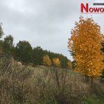 ZDJĘCIA NASZYCH CZYTELNIKÓW