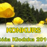 Konkurs „Róża Kłodzka 2016”