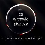 Co w trawie piszczy