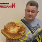 Grzybobranie w pełni