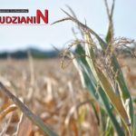 Rolnicy gminy Nowa Ruda bez odszkodowań