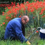 Wzrosło zainteresowanie działkami